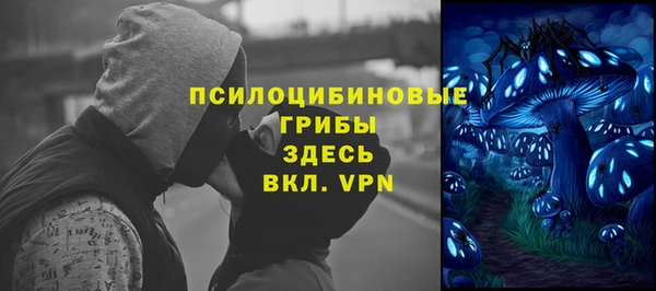 ECSTASY Белокуриха