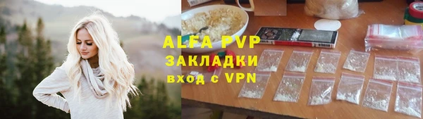 ECSTASY Белокуриха