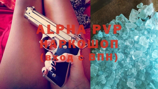 ECSTASY Белокуриха