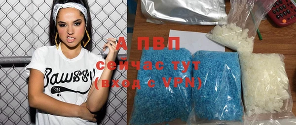 ECSTASY Белокуриха